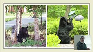 Preventing Human-Bear Conflicts at Home