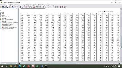 How to check the reliability of a scale/questionnaire using SPSS?