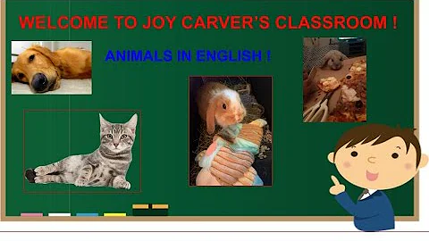 ANIMALS IN ENGLISH!!