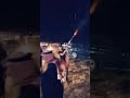 رمي كلاشنكوف