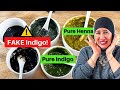 How to tell if your henna is PURE | Henna expert EXPERIMENTS so you don’t have to!