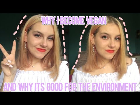Why I went Vegan & how it helps the environment