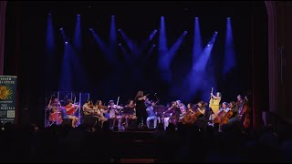 The Accidentals, Kaboom Collective - Crows Feet Official Video