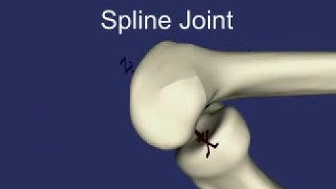 Spline Joints for Multibody Dynamics