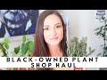 HOUSEPLANT HAUL FROM BLACK-OWNED PLANT SHOPS | BLACK LIVES MATTER | Houseplant Unboxing  Houseplants