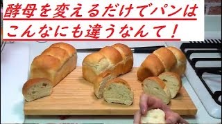 【検証】酵母のことがすべてわかる動画(how to use yeast）