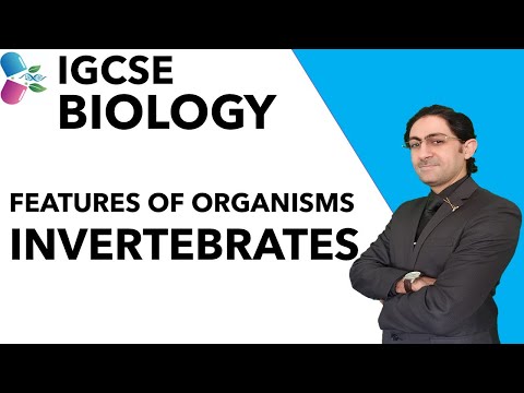 IGCSE BIOLOGY [1.3