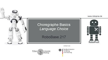 RoboBase.217 – Choregraphe Basics: Language Choice