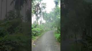 Whispers of Nature  #ASMR Rainfall Symphony in the #Village Street Amidst #Thunderous Serenity