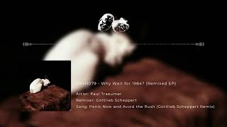 Famous Paul Traeumer -  Panic Now And Avoid The Rush (Gottlieb Scheppert Remix) Wealth