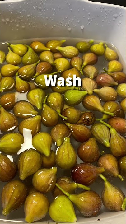 How to Dry Fresh Figsl #garden, #figs, #shorts #anjeer