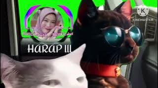 HARAP III _ MAULA akustik #popindonesia #popmusic #akustik #akustikcafe