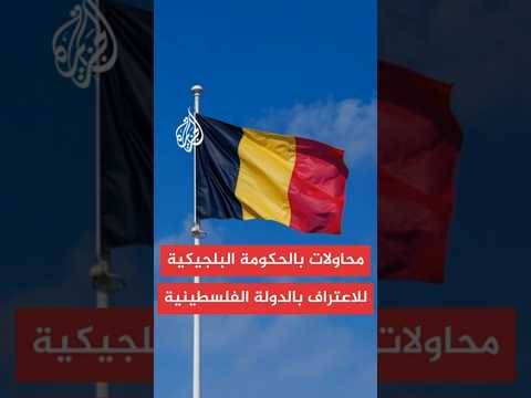 بلجيكا تفشل في اجتماع لمحاولة التوصل إلى موقف موحد بشأن الاعتراف بالدولة الفلسطينية