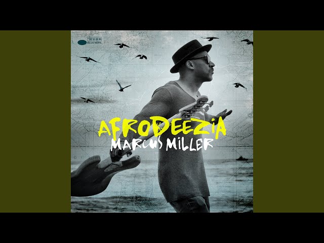 Marcus Miller - I Can't Breathe
