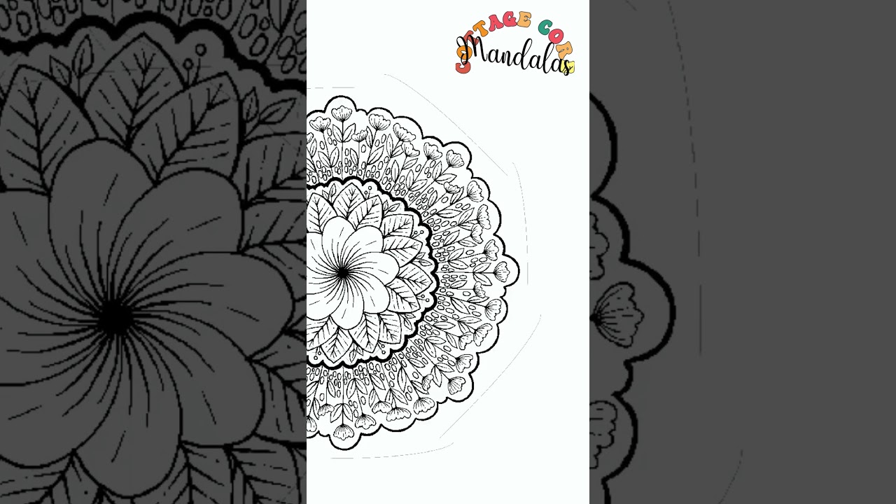 Blooming Abundance Mandala | Mesmerizing Floral Art Time-lapse