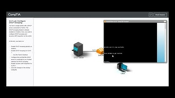 Testout | Network + | 9.4.7 Lab: Configure DHCP Snooping