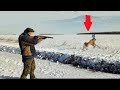 Как правильно стрелять по зайцу