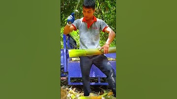 cut bamboo with a super sharp tool in one cut #shorts