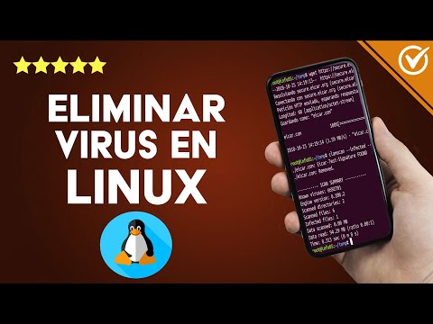 ¿Cómo buscar y eliminar virus en LINUX desde la línea de comandos? - ClamAV
