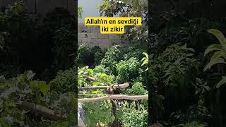 Allahın En Sevdiği 2 Zikir