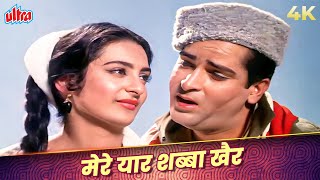 Mere Yaar Shabba Khair 4K Song | Mohammed Rafi, Lata Mangeshkar | Shammi Kapoor, Saira Banu