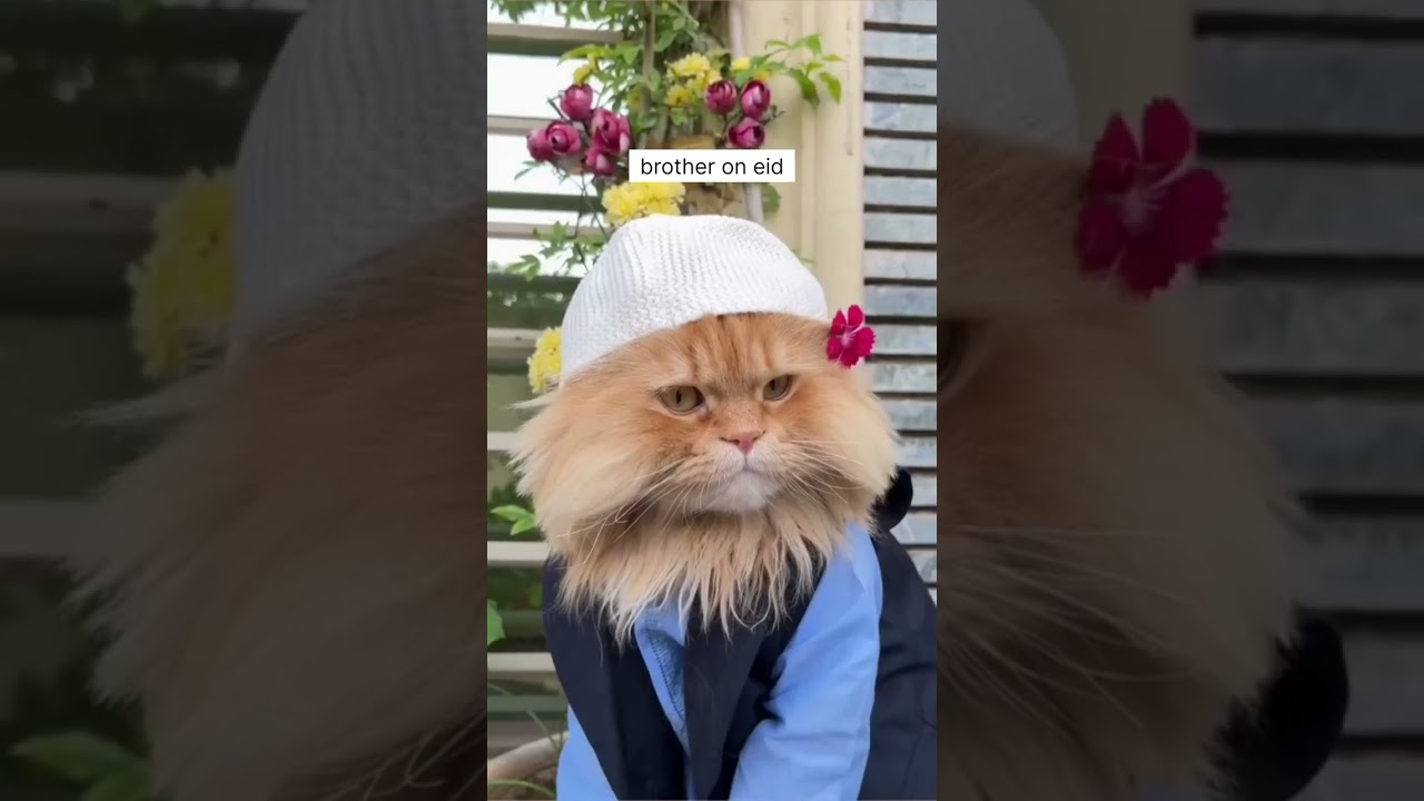 my family on eid 🥰❤️