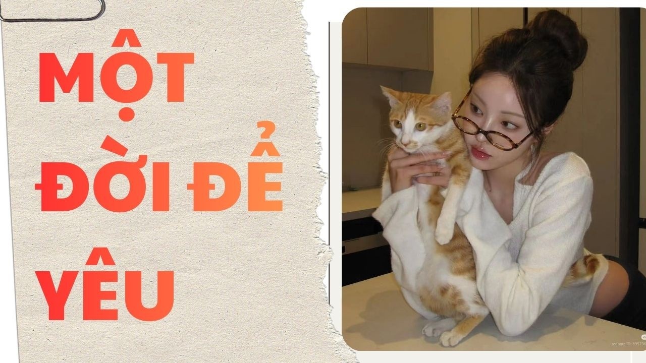 [ TRUYỆN AUDIO ]  || MỘT ĐỜI ĐỂ YÊU || Meo Tổng