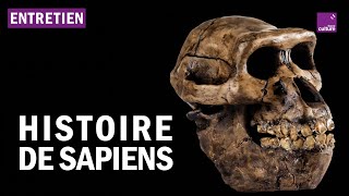 Pourquoi et comment Sapiens s’estil imposé ?