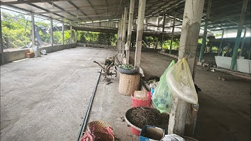 Bán Nông trại 2448m2 l 3.4 Tỷ l Sát rìa QL50B l Phước Lâm-Cần Giuộc l 0899489216