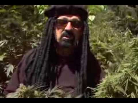 Jorge Cervantes Ultimate Marijuana Grow Guide (Full) Jorge Cervantes Ultimate Marijuana Grow Guide (Full)