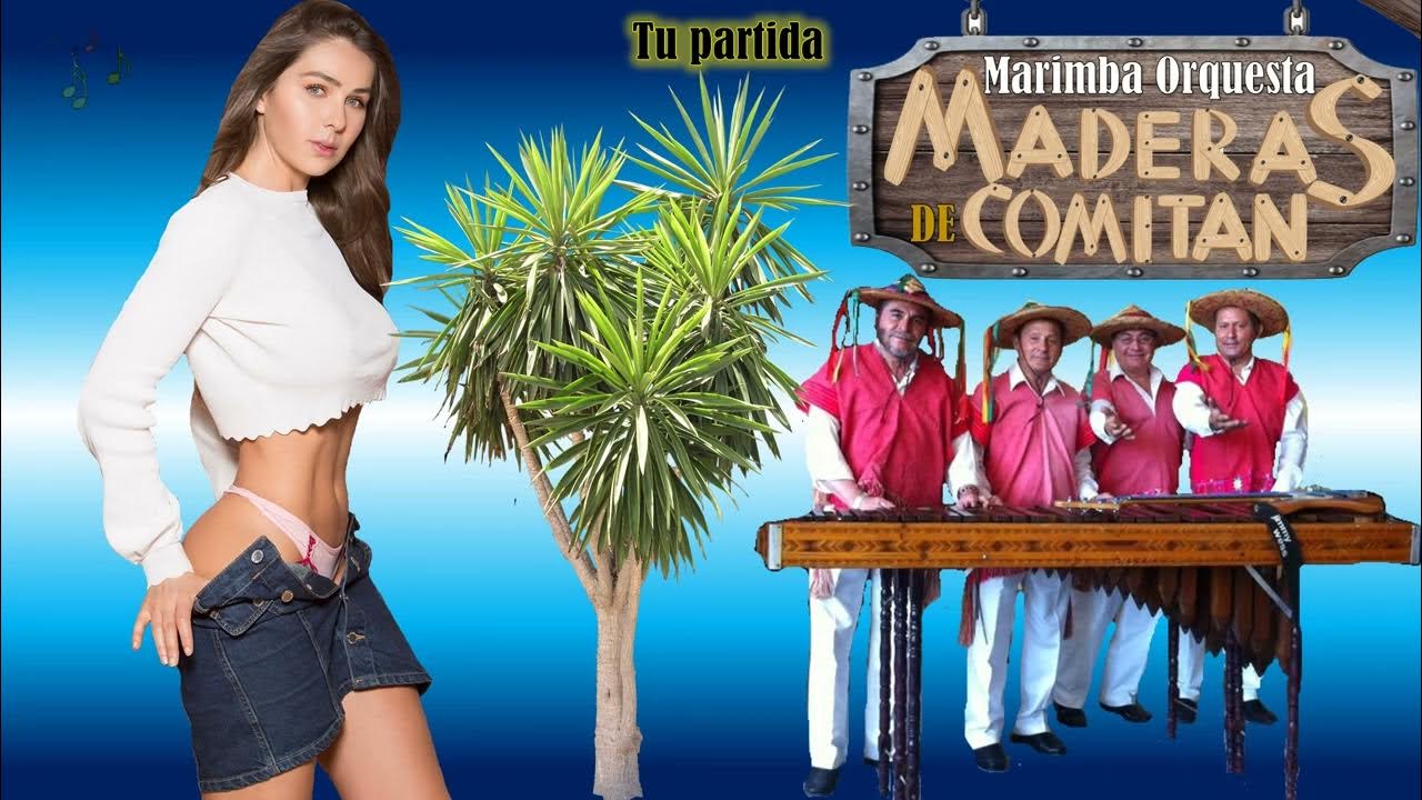 Marimba Maderas de Comitán Tu partida YouTube