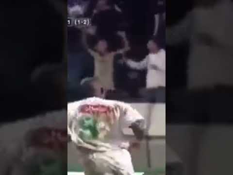 اهداف الريمونتادا الرجاء 4-0 اسيك ابيدجان_ الهدف التاني *فرانسوا انديني * #الرجاء #الرجاء_البيضاوي اهداف الريمونتادا الرجاء 4-0 اسيك ابيدجان_ الهدف التاني *فرانسوا انديني * #الرجاء #الرجاء_البيضاوي Thumbnail