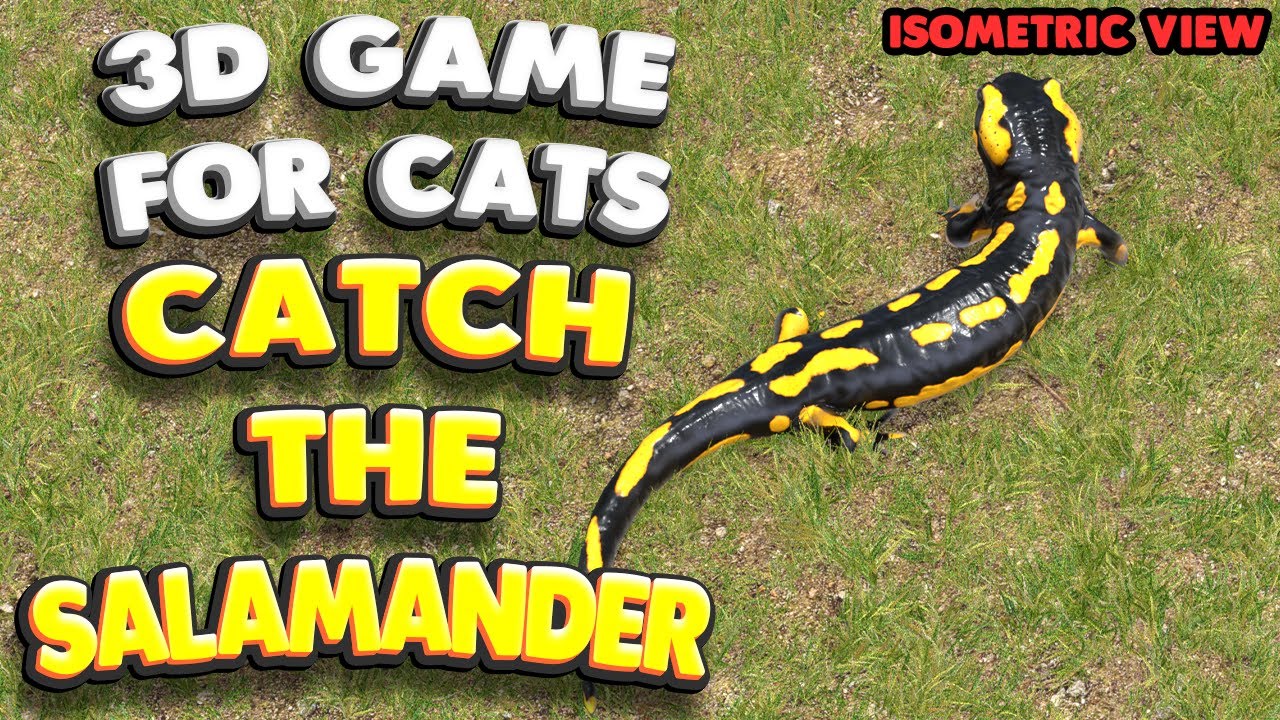 3D game for cats | Catch the salamander (isometric view) | 4K, 60 fps, stereo sound