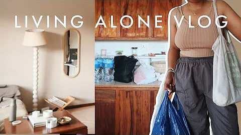 Living Alone Diary | south african favourites groc...