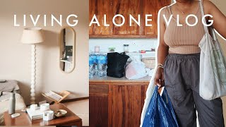 Living Alone Vlog | south african favourites grocery haul for one +  pep home haul #whatieatinaday