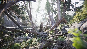 Unity: Book of the Dead Demo on GTX 1070