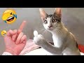 Hilarious Cats and Dogs 🐈🐕 Funniest Animals 2024 😍