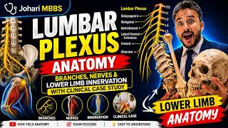 Lumbar Plexus Anatomy Made Easy | Branches, Nerves & Lower Limb Innervation With Clinical Case Study