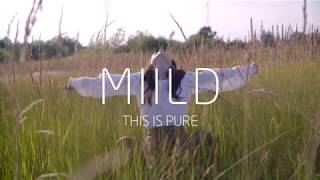 Autumn Hay Mood Piece The Young Woman