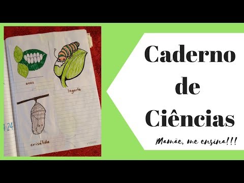 Caderno de ciências - Homeschooling