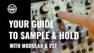 Your Sample & Hold Guide | Thomann
