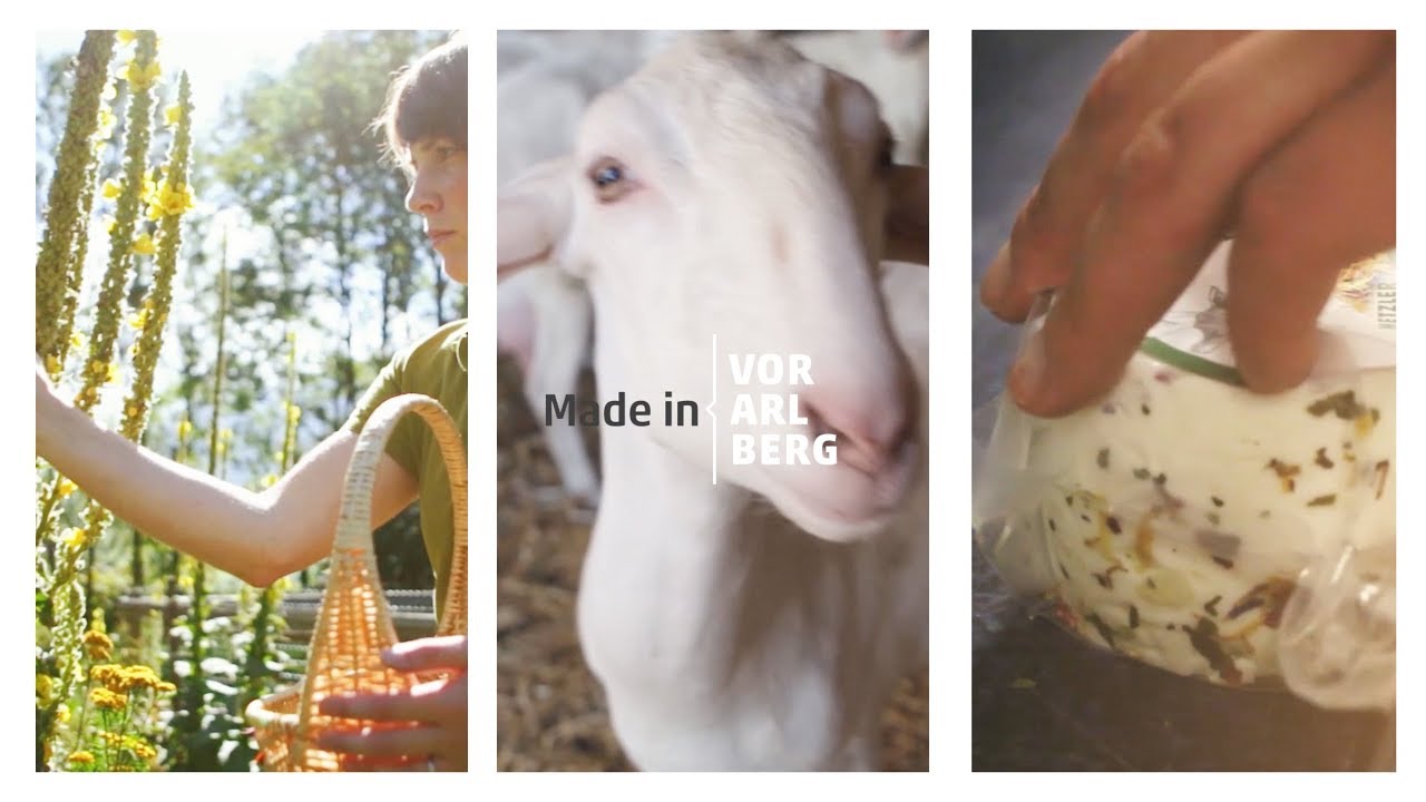 Die Familie der Milchveredler in Vorarlberg