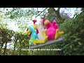 Balanoire  poules en plastique recycl 40 cm de beeztees  prsentation