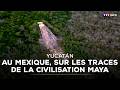 Mexique : les étonnantes curiosités du Yucatán｜TF1 INFO