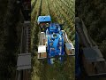 LS25: So schaltest du „Olea europaea“ richtig frei! 🏆#LS25 #FarmingSimulator25 #GamingTipps #Trophäe