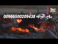 روح البداوه 2