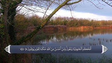 قضاوت با قران_سوره مائده آیه 50