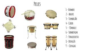 Instrumentos Orff - Família das Peles  - Áudio do manual 100% música - 5º Ano screenshot 3