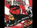 The Briggs - Until Someone Gets Hurt