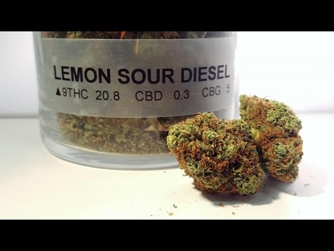 lemon-sour-diesel-strain-review